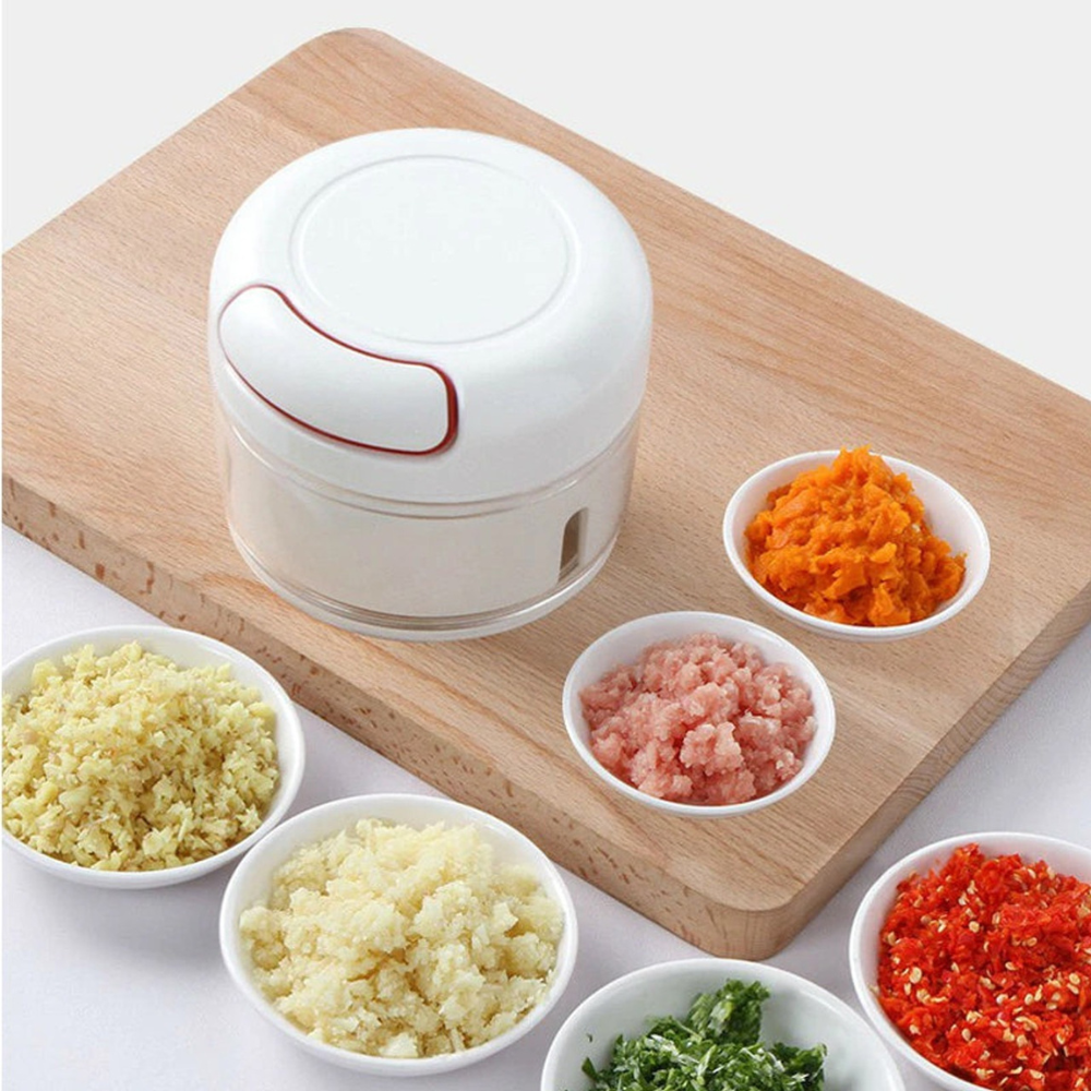 Mini Food Chopper