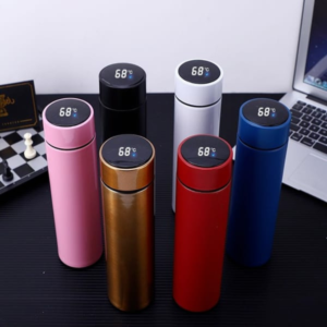 Stainless Steel Temperature Water Bottle with LED Display